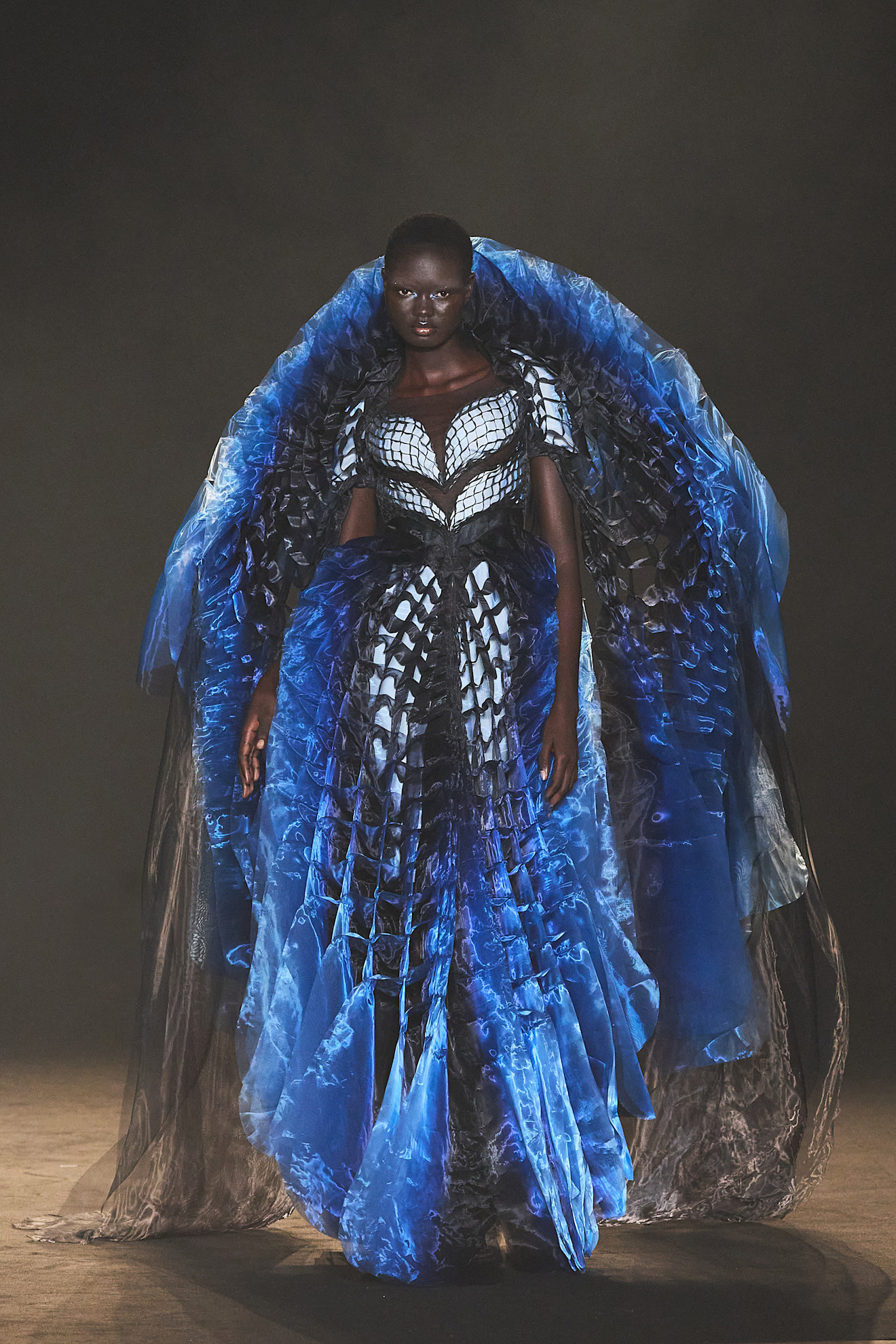 Van Herpen HC F25 003