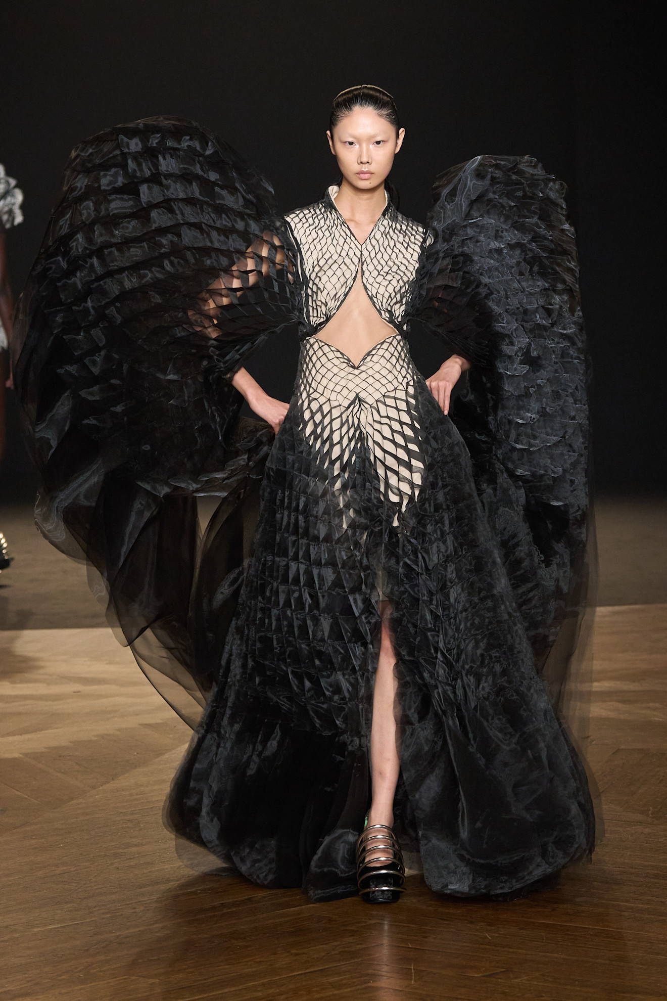 Van Herpen HC F25 009