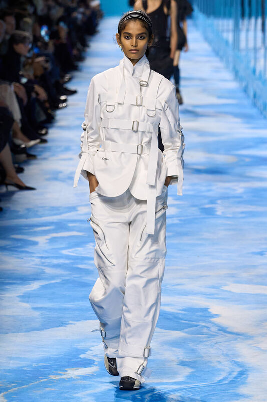 Dior S25 041