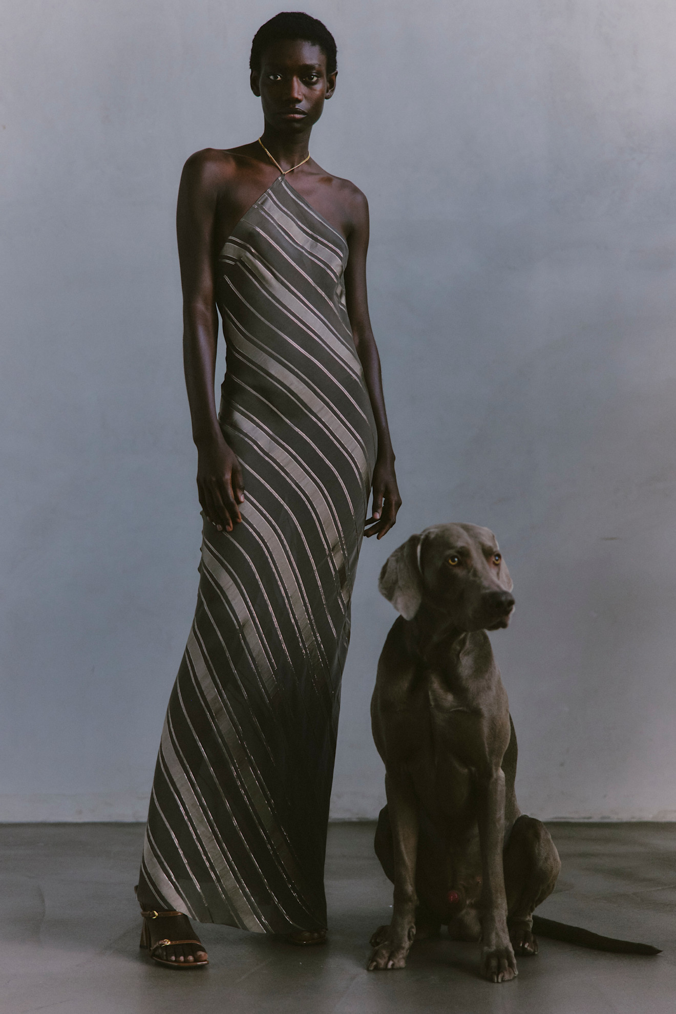 Обтягивающее платье с вертикальными полосами, сочетание серого и золотого, в компании с грациозной собакой