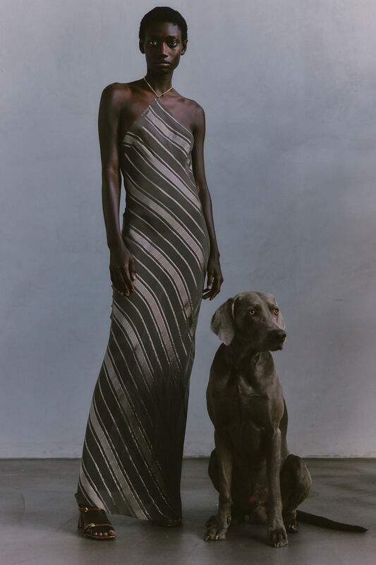 Обтягивающее платье с вертикальными полосами, сочетание серого и золотого, в компании с грациозной собакой