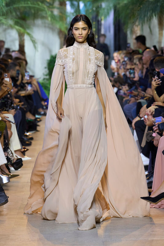 Elie Saab S25 038