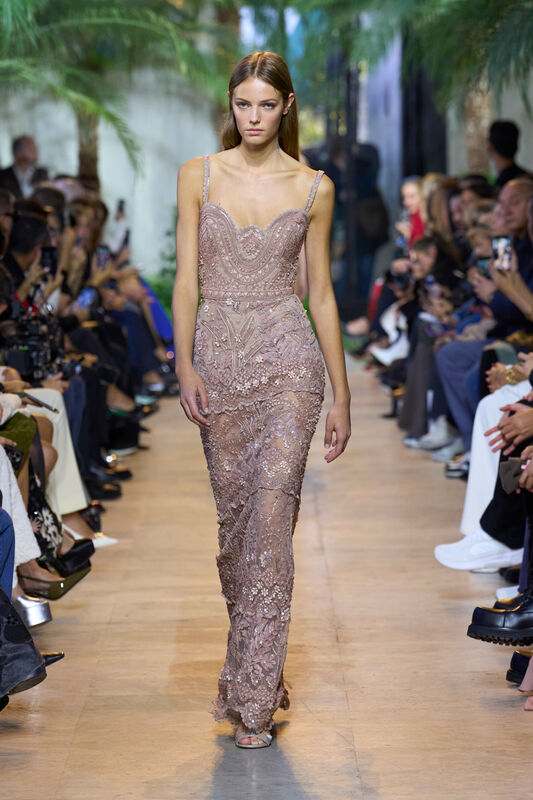 Elie Saab S25 042