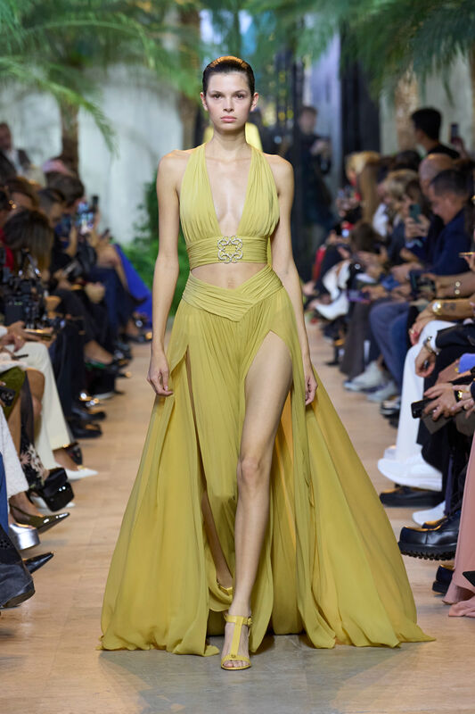 Elie Saab S25 055