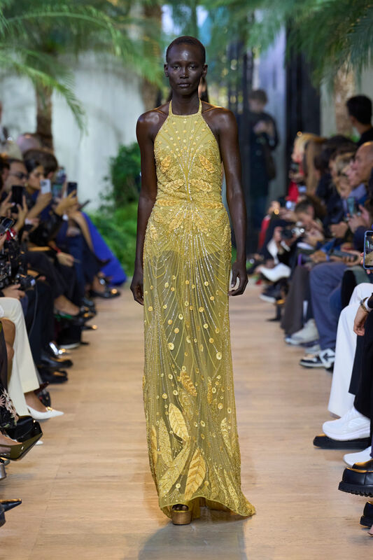 Elie Saab S25 058