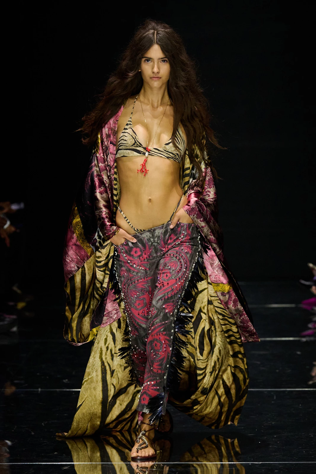 Roberto Cavalli S27 009
