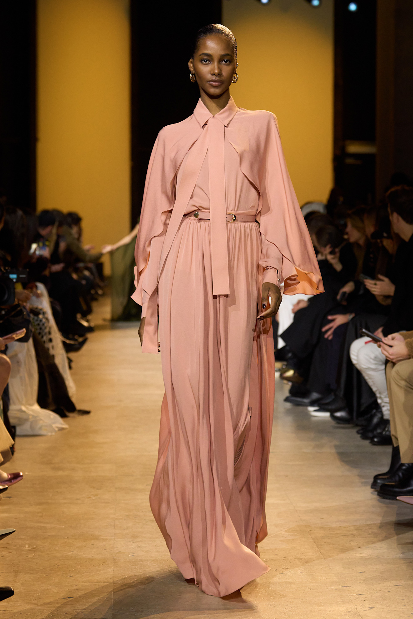 Elie Saab F24 008