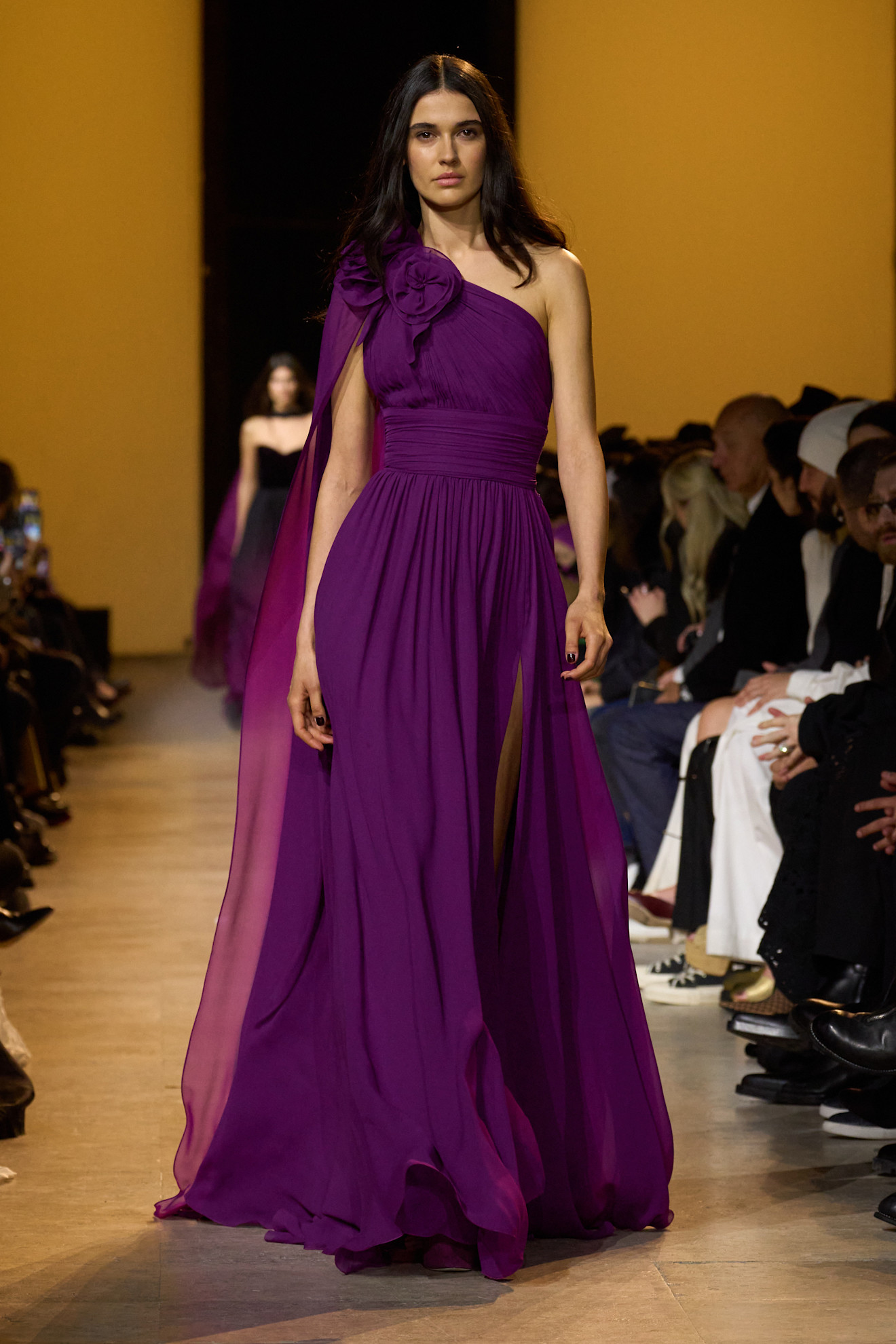 Elie Saab F24 043