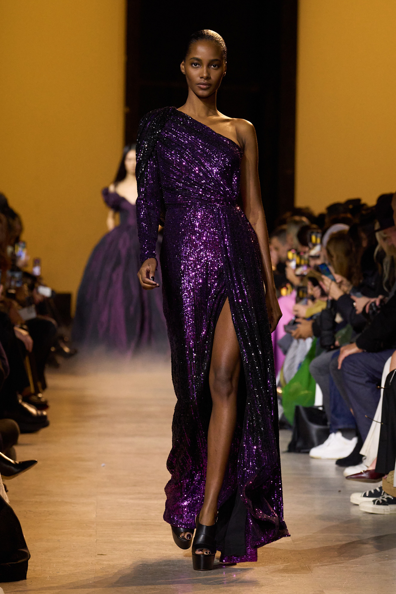 Elie Saab F24 046
