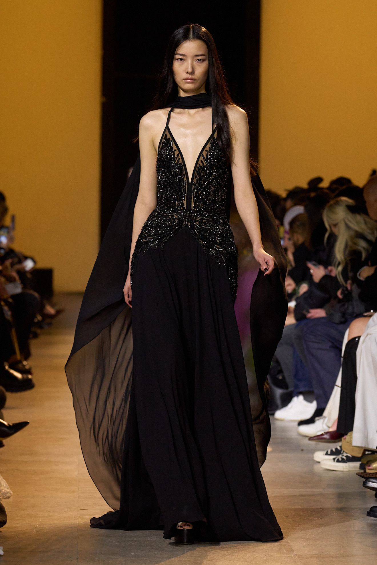 Elie Saab F24 056