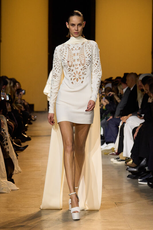 Elie Saab F24 037