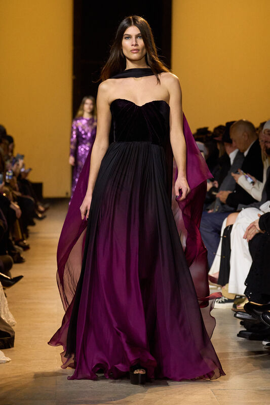 Elie Saab F24 044
