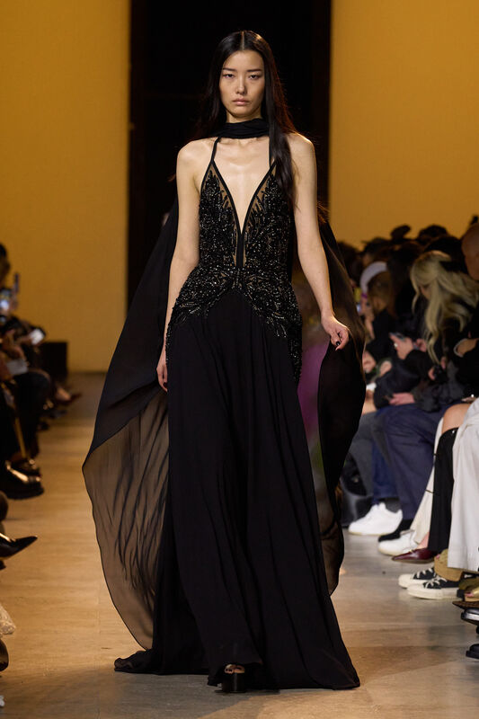 Elie Saab F24 056