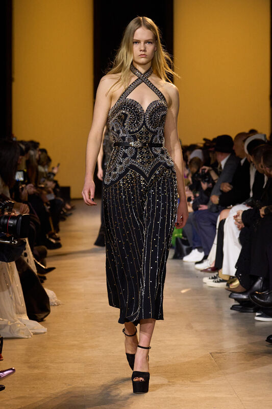 Elie Saab F24 058