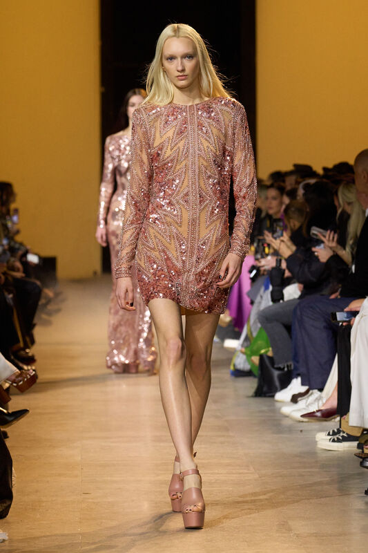 Elie Saab F24 065