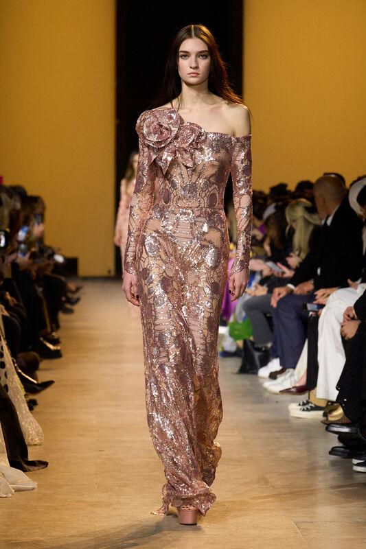 Elie Saab F24 066
