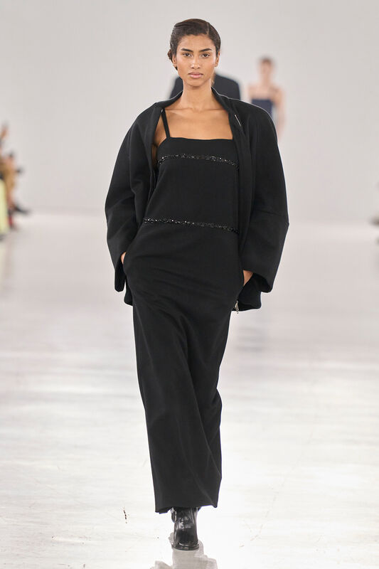 Max Mara F24 045