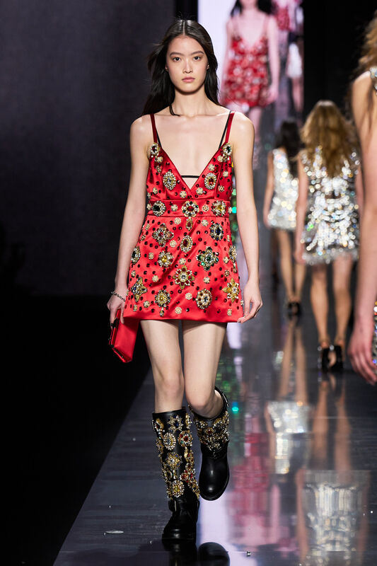 Dolce Gabbana F25 061