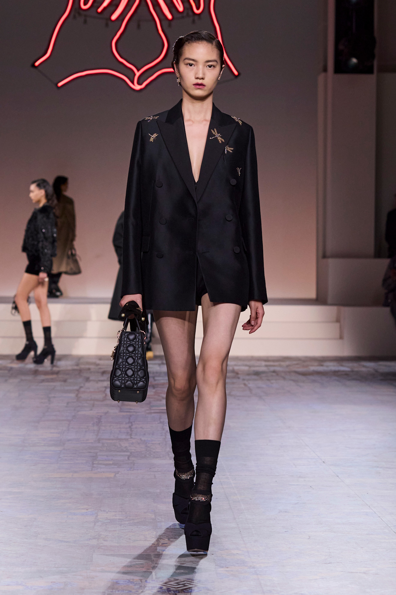Dior PreFall NY PO F24 012