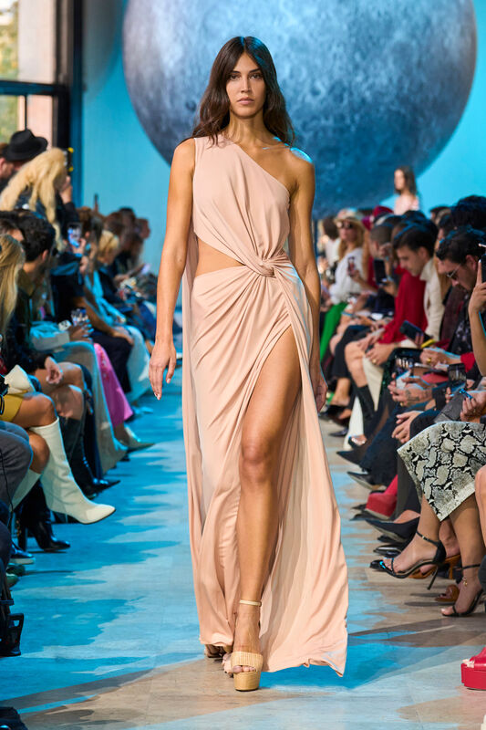 Elie Saab S24 053