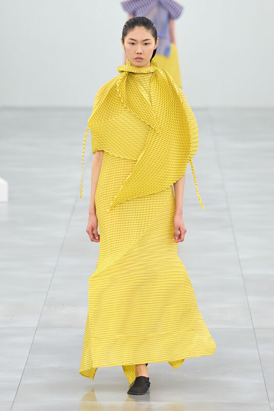 Miyake F25 043
