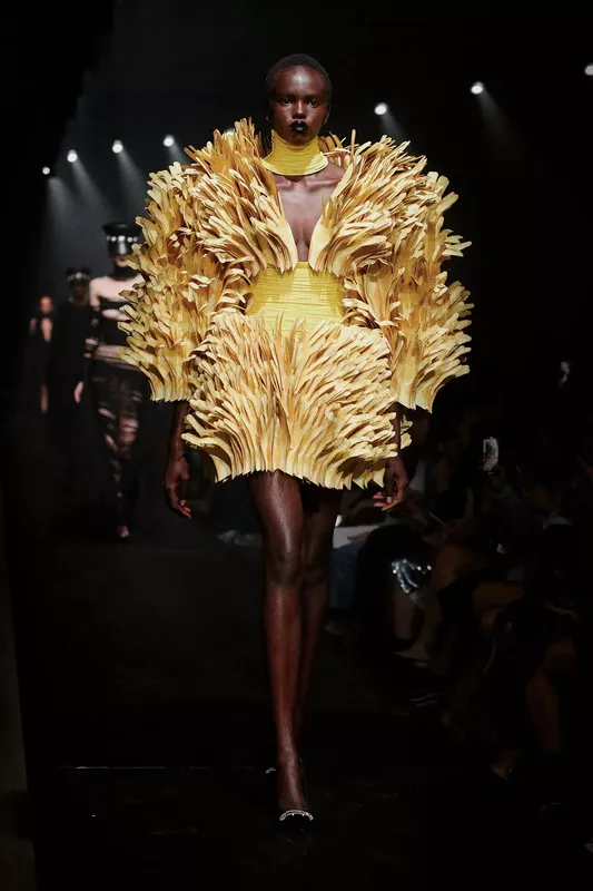 00034-area-fall-2024-couture-credit-brand