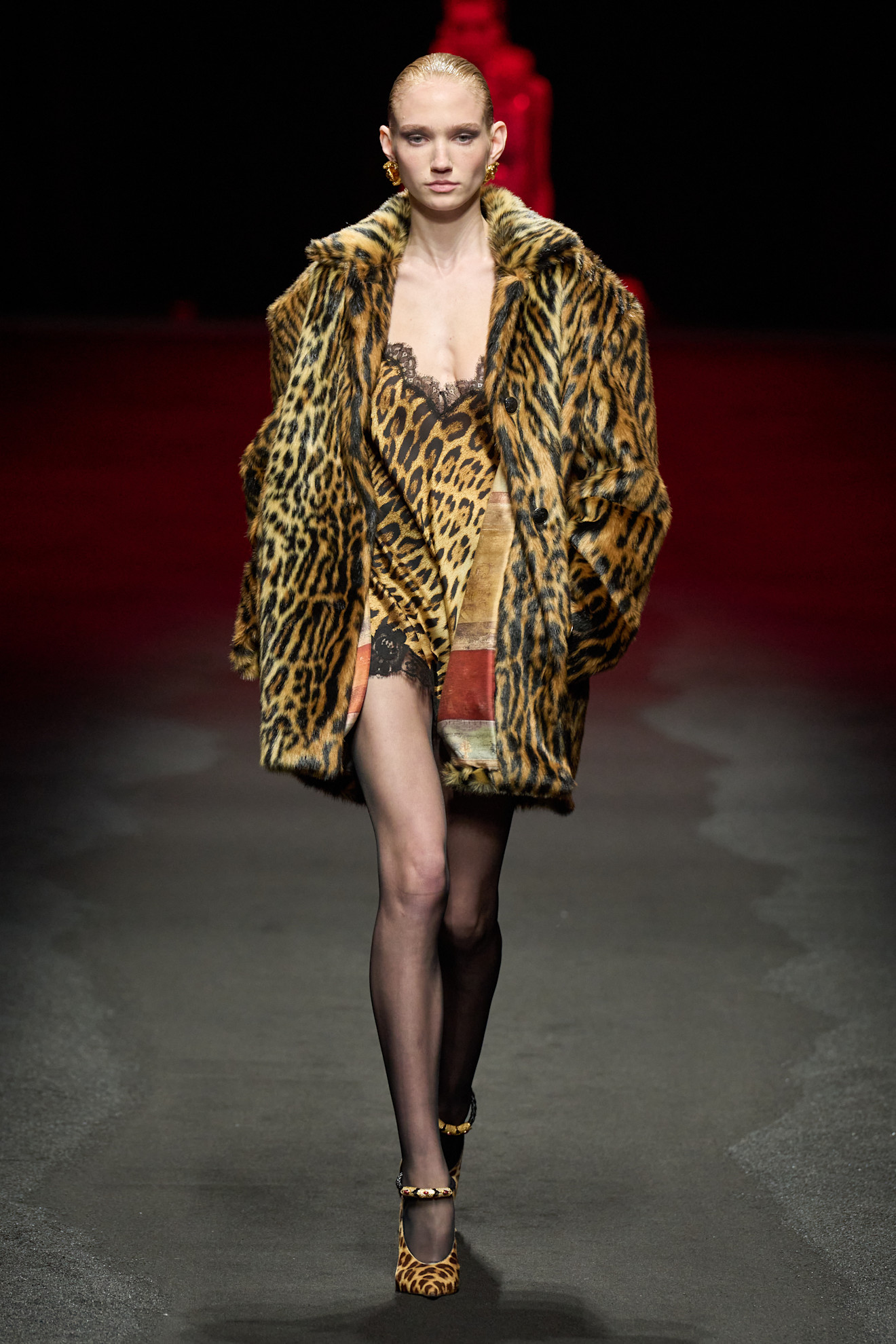 Roberto Cavalli F25 022