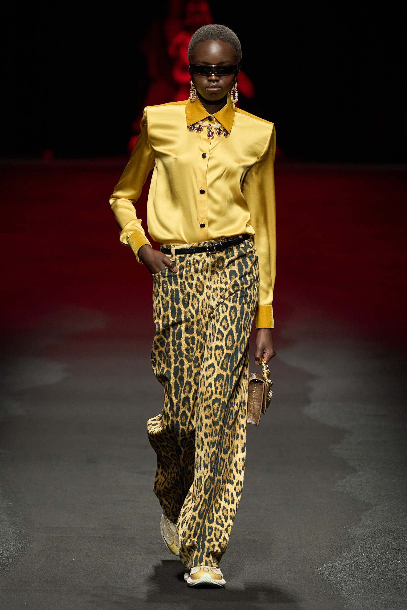 Roberto Cavalli F25 024