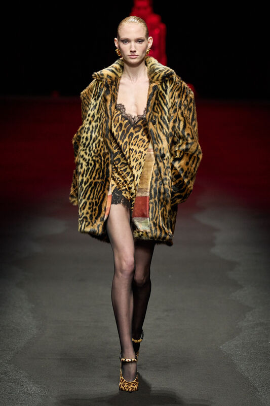 Roberto Cavalli F25 022