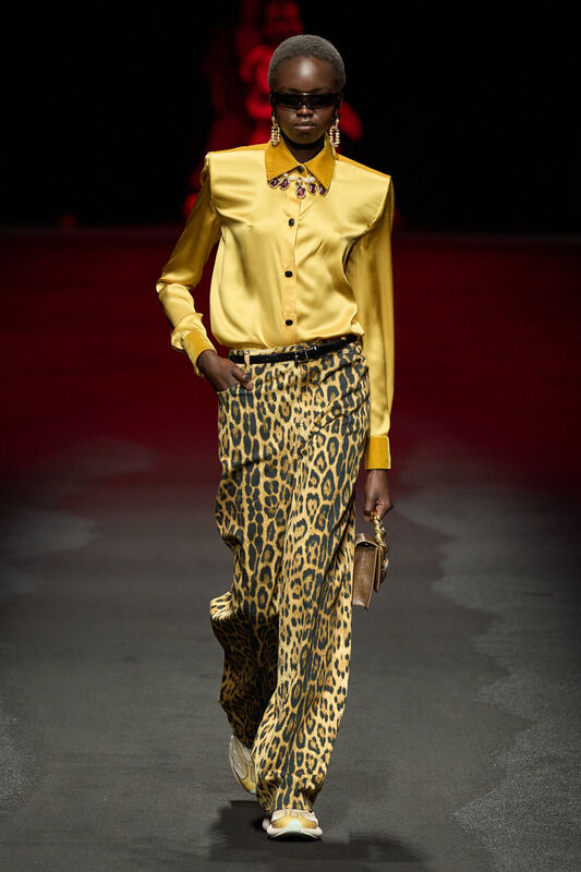 Roberto Cavalli F25 024