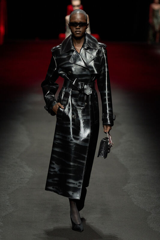 Roberto Cavalli F25 040