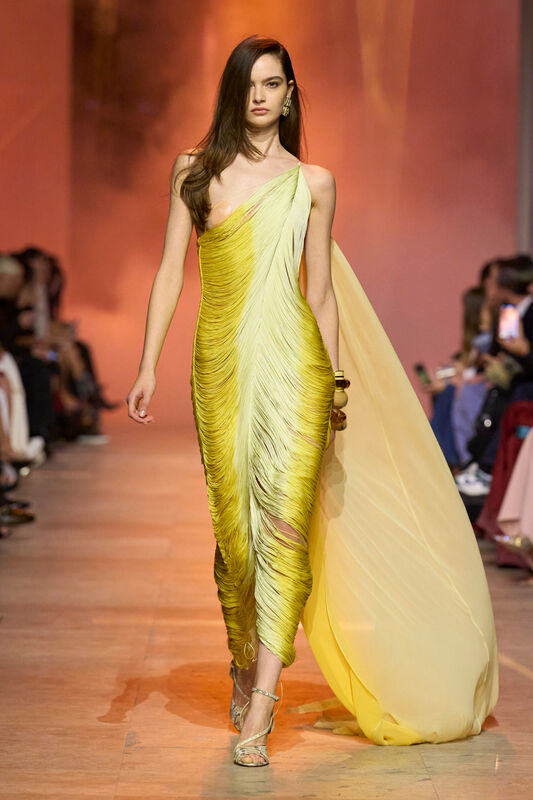 Elie Saab S26 061
