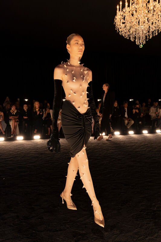 Schiaparelli HC PO F24 014